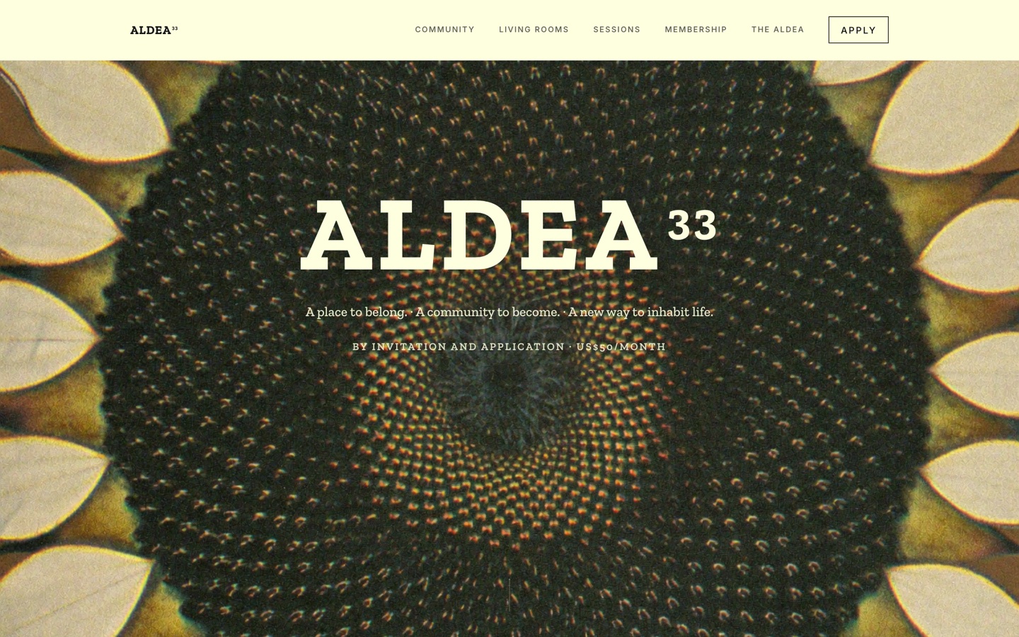 Sitio web de Aldea 33